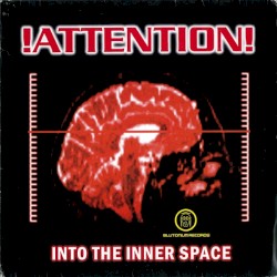 Into the Inner Space