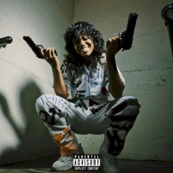 MAC11