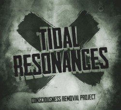 Tidal Resonances