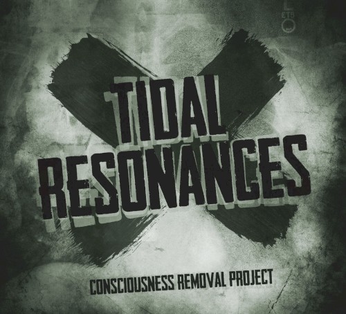 Tidal Resonances