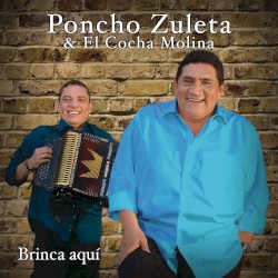Brinca aquí