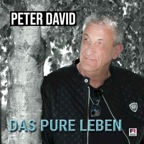 Hitmix Das pure Leben