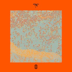 Akihi (Surv remix)