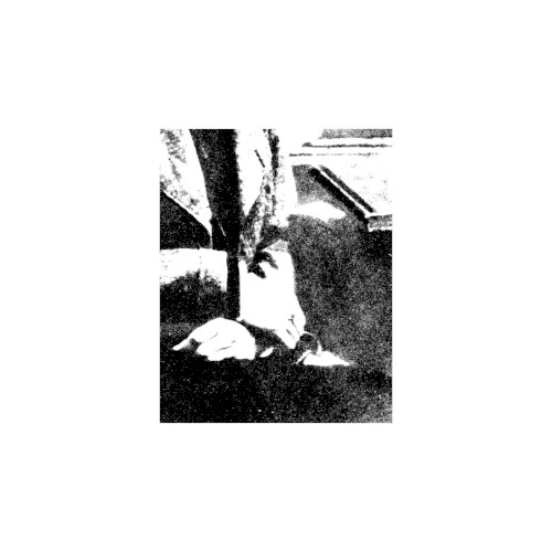Machinic II.