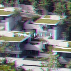 D o l p h i n