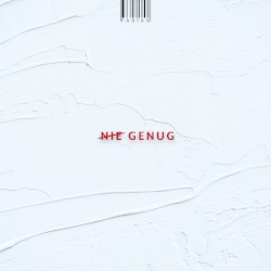Nie Genug