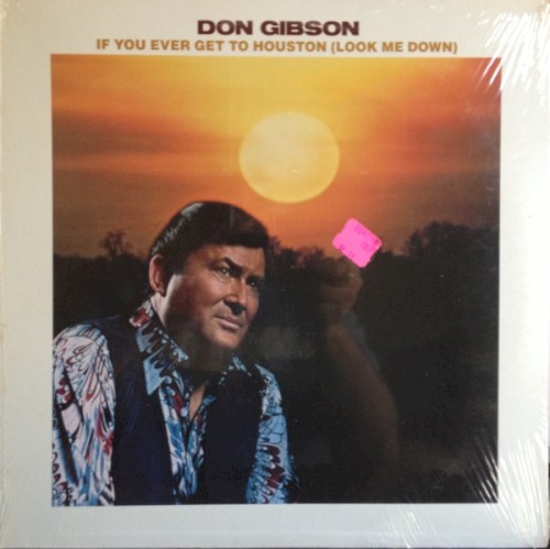 If You Ever Get to Houston (Look Me Down)