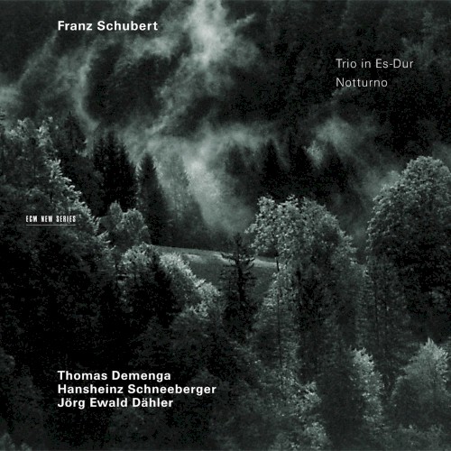 Trio in Es-Dur / Notturno