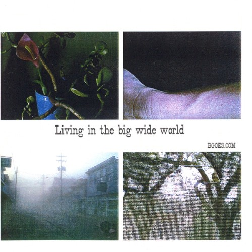 Living in the Big Wide World