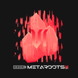 Metaroots 6