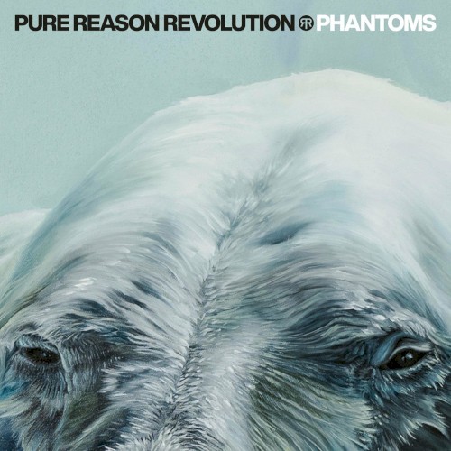 Phantoms