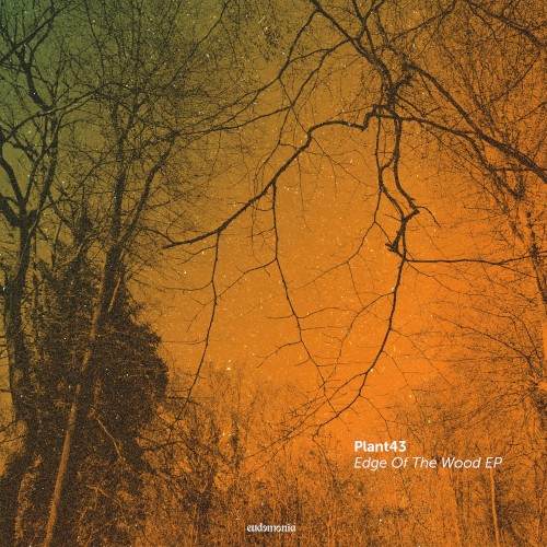Edge of the Wood EP