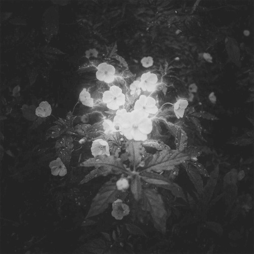 Rain Tonight