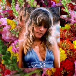 Stevie Nicks