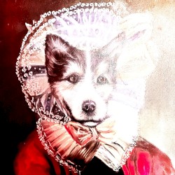 Dog Eyes