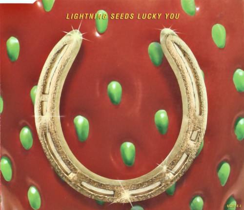 Lucky You