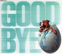 Goodbye