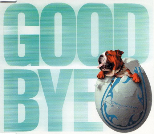 Goodbye