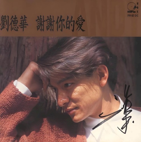 谢谢你的爱