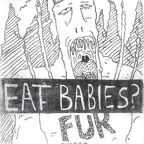 Fur