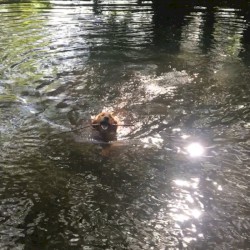 When the Sun Goes