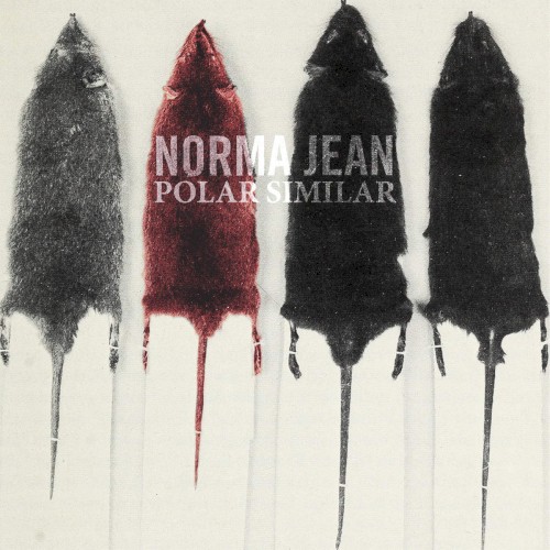 Polar Similar