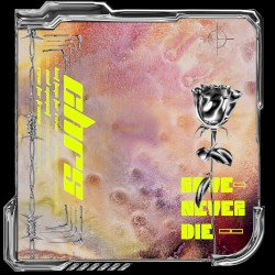 Rave Never Die