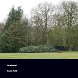 Insula Acid