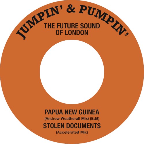 Papua New Guinea / Stolen Documents