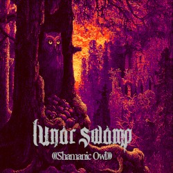 Shamanic Owl