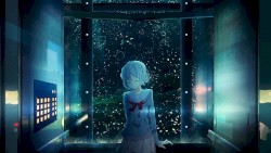 解けない夏