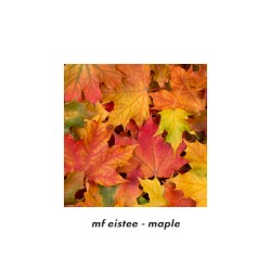 maple