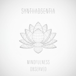 Mindfulness Observed