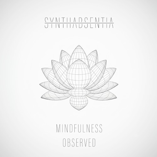Mindfulness Observed