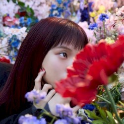 花無双