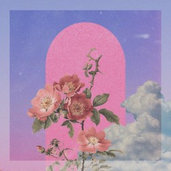 Around the Sun