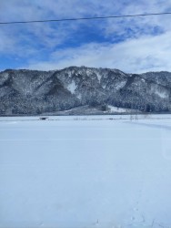 Winter again