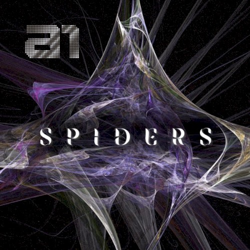 Spiders