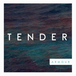 Armour