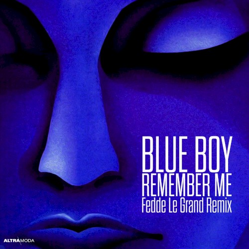 Remember Me (Fedde Le Grand remix)