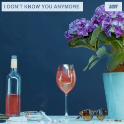 I Don’t Know You Anymore (demo)