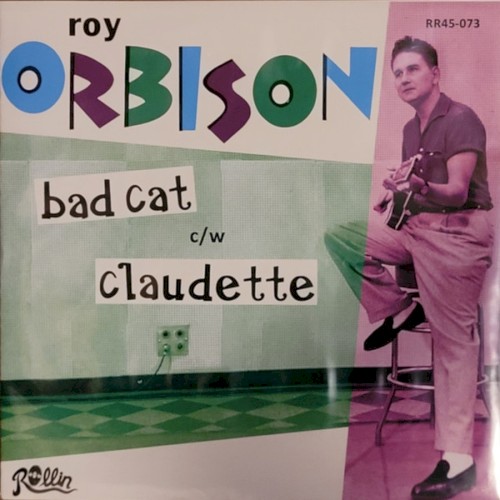 Bad Cat