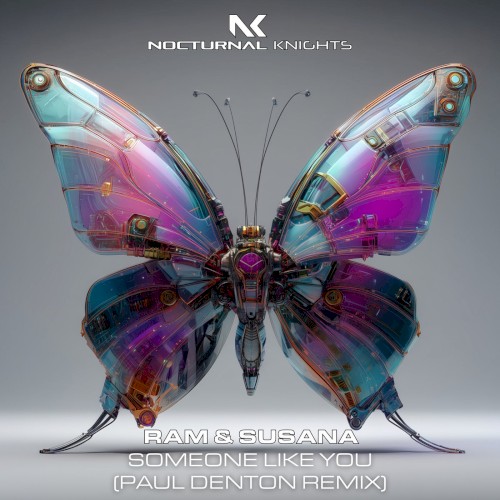 Someone Like You (Paul Denton Remix)
