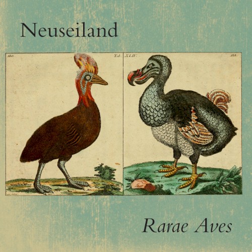 Rarae Aves