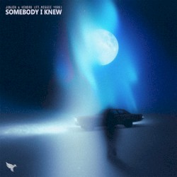 Somebody I Knew