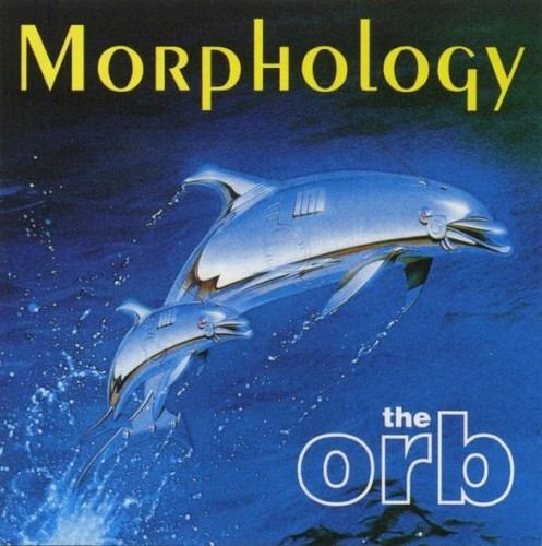Morphology