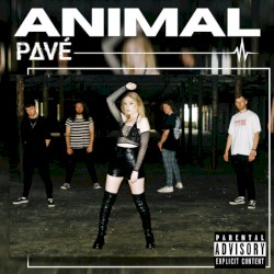 Animal
