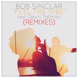 Feel the Vibe (Remixes)