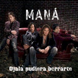 Ojalá pudiera borrarte
