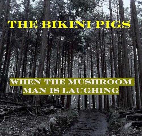 When the Mushroom Man Is Laughing
